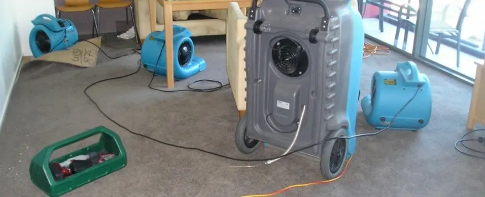 water damage carpet brisbane