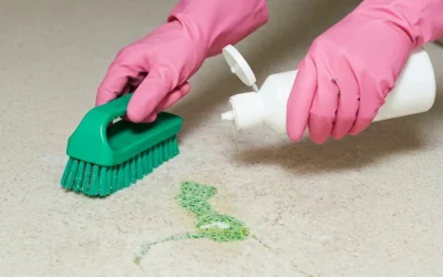 Top Carpet Cleaning Myths That Could Be Ruining Your Floors